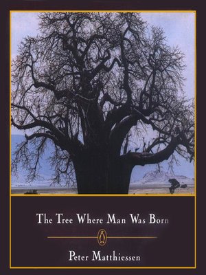 cover image of The Tree Where Man Was Born